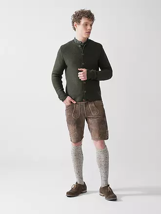 GOTTSEIDANK | Gilet traditionnel en tricot ALOISIUS | grün
